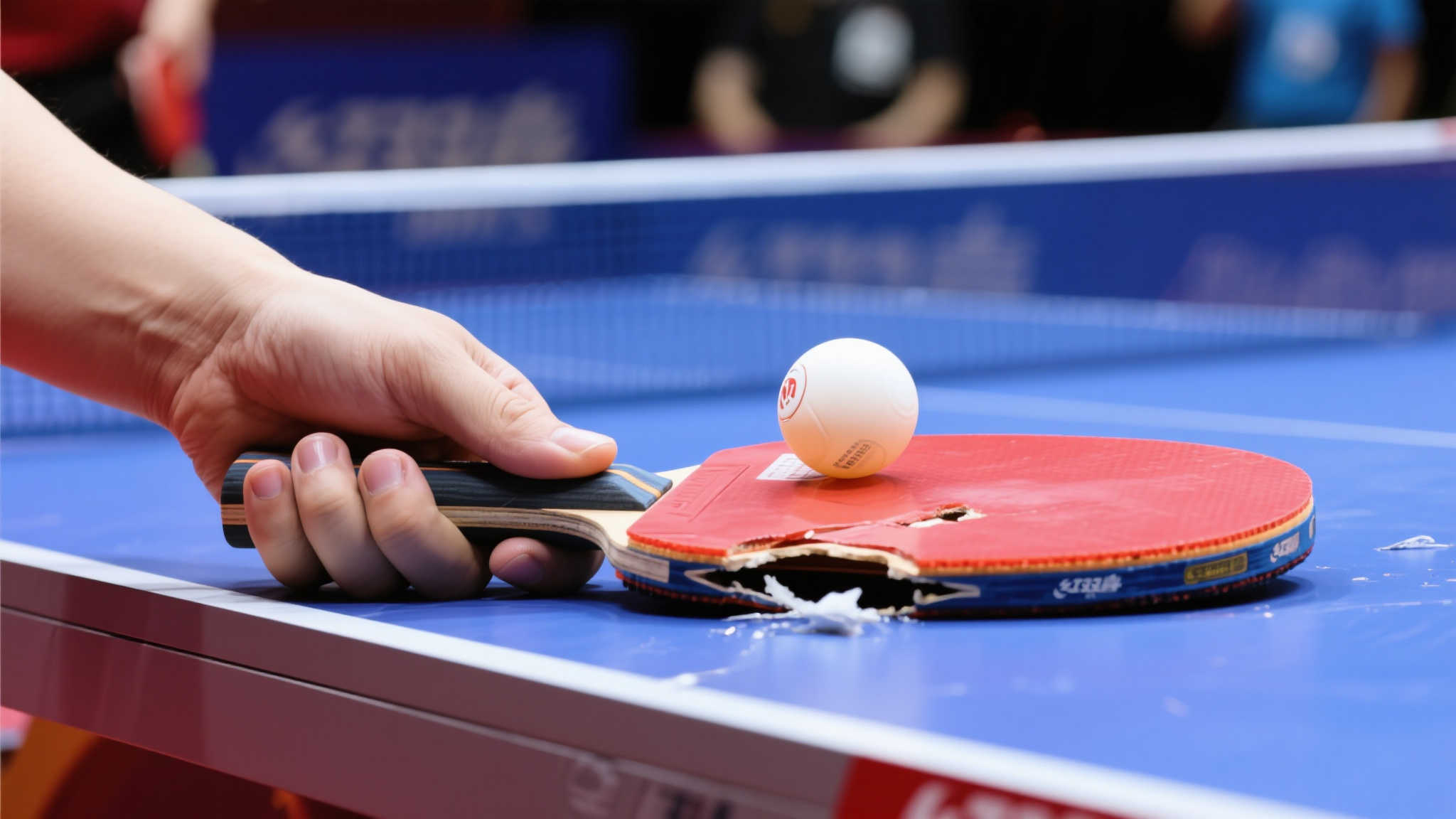 孙颖莎首战球拍故障,王楚钦球拍开胶令人震惊 孙颖莎首战球拍故障,王楚钦球拍开胶令人震惊